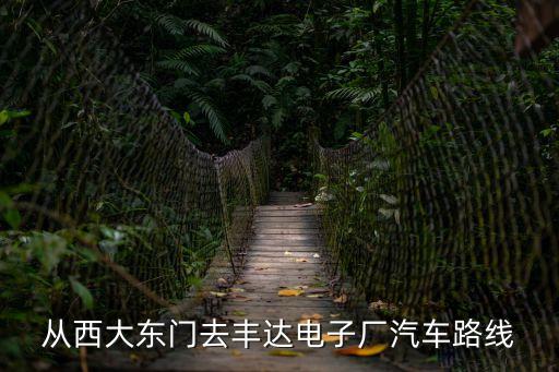 從西大東門去豐達電子廠汽車路線