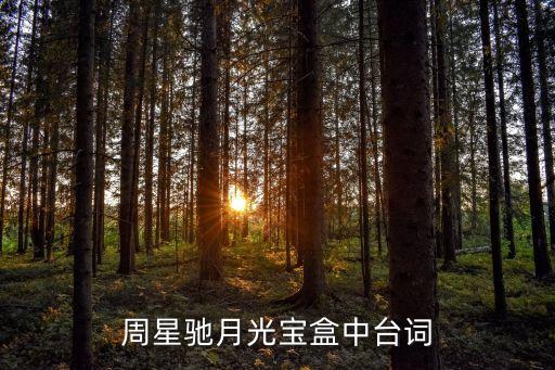 周星馳月光寶盒中臺詞