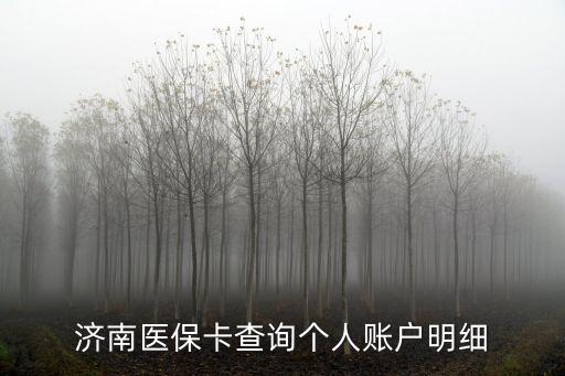 濟南醫保卡查詢個人賬戶明細