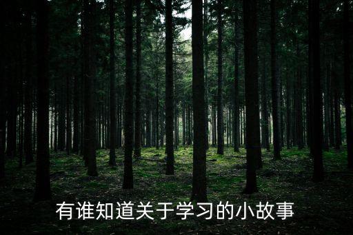有誰知道關于學習的小故事