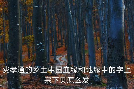 費孝通的鄉土中國血緣和地緣中的字上宗下貝怎么發