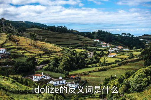 idolize的反義詞是什么
