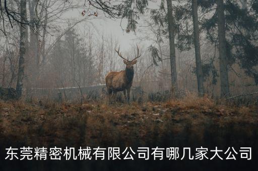 東莞精密機械有限公司有哪幾家大公司