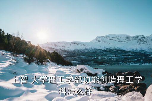  上智 大學理工學部功能創造理工學科怎么樣