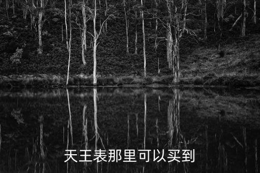 東莞沙田天王表專賣店，天王表那里可以買到