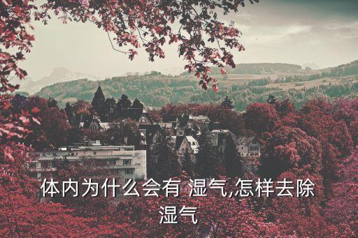  體內為什么會有 濕氣,怎樣去除 濕氣