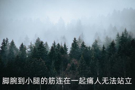 腳腕到小腿的筋連在一起痛人無法站立