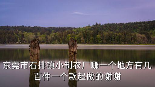東莞市石排鎮小制衣廠哪一個地方有幾百件一個款起做的謝謝
