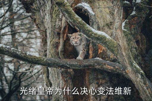 光緒皇帝為什么決心變法維新