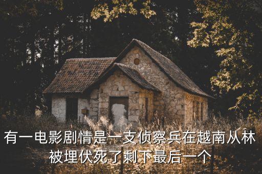 有一電影劇情是一支偵察兵在越南從林被埋伏死了剩下最后一個