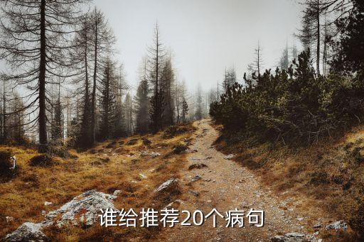 誰給推薦20個病句
