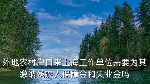 外地農村戶口來上海工作單位需要為其繳納殘疾人保障金和失業金嗎