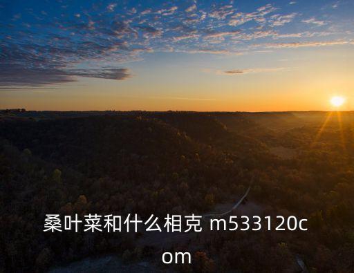 桑葉菜，桑葉菜和什么相克 m533120com