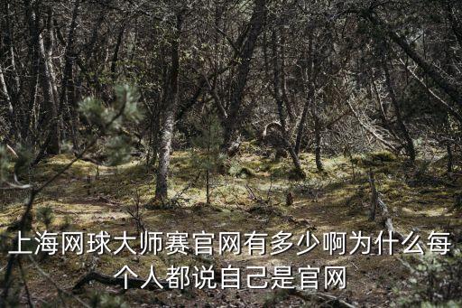 上海市網球大師賽官網，上海網球大師賽門票價具體地點具體時間