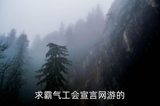 上海市網(wǎng)游協(xié)會(huì)宣言，上海臺(tái)笑傲江湖的口號(hào)是什么