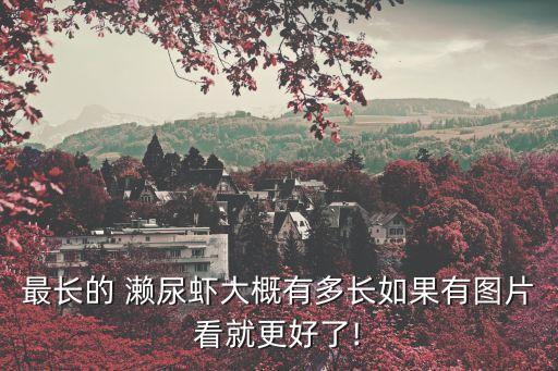最長的 瀨尿蝦大概有多長如果有圖片看就更好了!