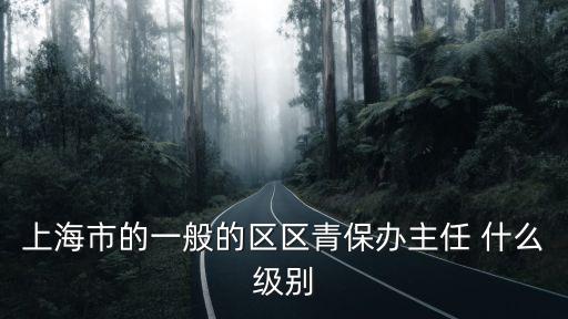 上海市的一般的區(qū)區(qū)青保辦主任 什么級別
