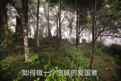 如何做一個忠誠的愛國者