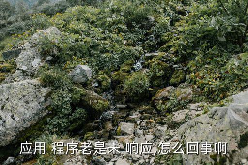 應(yīng)用 程序老是未 響應(yīng),怎么回事啊