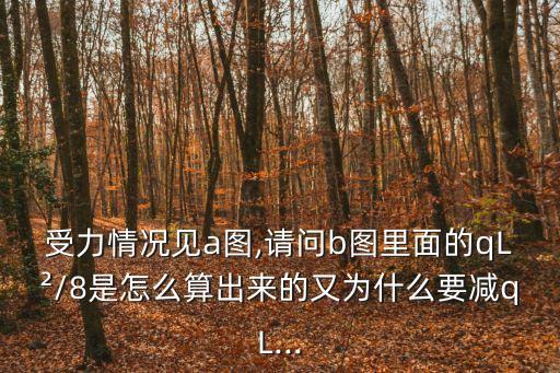 b圖,這個細胞周期有哪些重大突破?