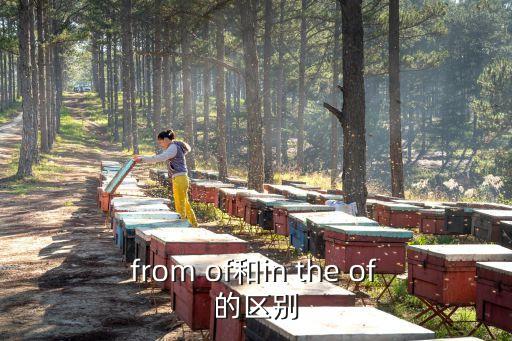 from of和in the of的區別