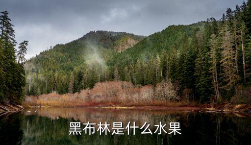 黑布林是什么水果