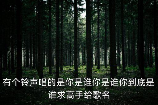 電光石火之間，電光火石成語