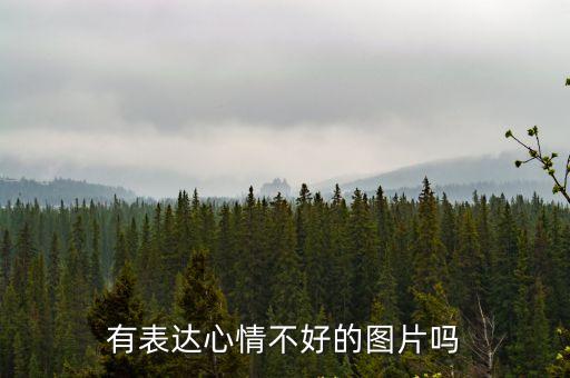 有表達心情不好的圖片嗎