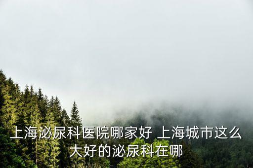 上海泌尿科醫(yī)院哪家好 上海城市這么大好的泌尿科在哪