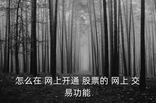 怎么在 網(wǎng)上開通 股票的 網(wǎng)上 交易功能