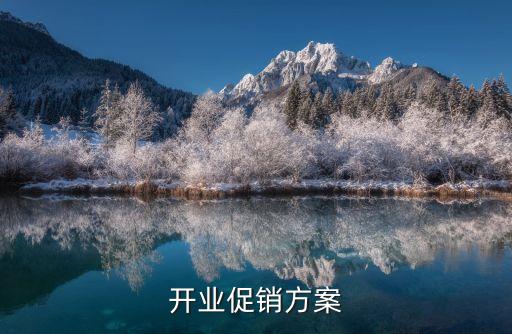 開業方案，求新店開業策劃方案謝謝