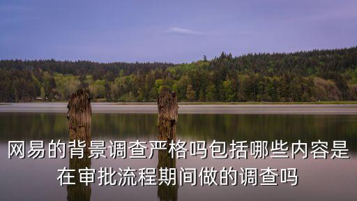 網(wǎng)易的背景調(diào)查嚴(yán)格嗎包括哪些內(nèi)容是在審批流程期間做的調(diào)查嗎
