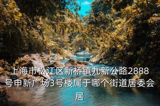 上海市松江區新橋鎮九新公路2888號申新廣場3號樓屬于哪個街道居委會居