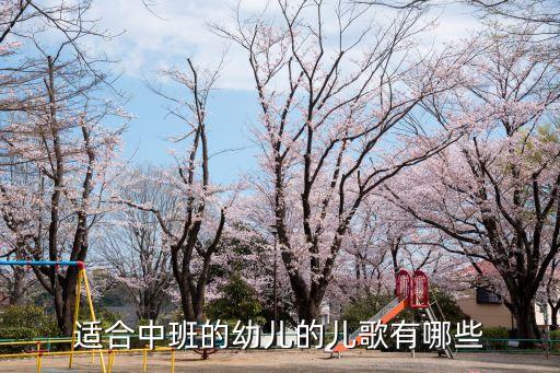 適合中班的幼兒的兒歌有哪些