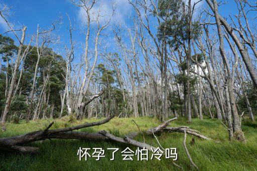 孕婦怕冷，懷孕了會怕冷嗎