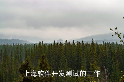 上海軟件開發(fā)測(cè)試的工作