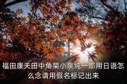 福田康夫田中角榮小泉純一郎用日語怎么念請用假名標記出來