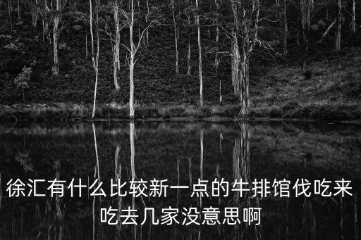 徐匯有什么比較新一點(diǎn)的牛排館伐吃來(lái)吃去幾家沒(méi)意思啊