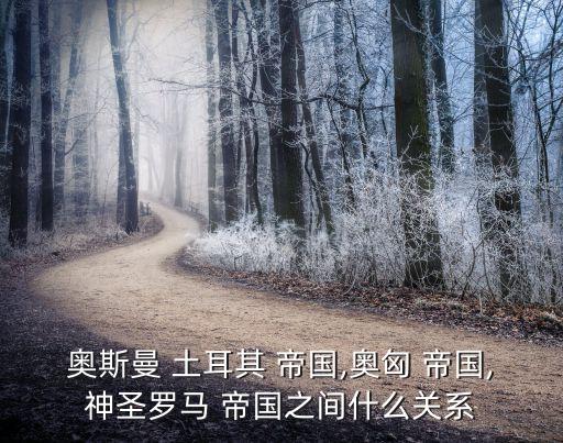 奧斯曼 土耳其 帝國,奧匈 帝國,神圣羅馬 帝國之間什么關系