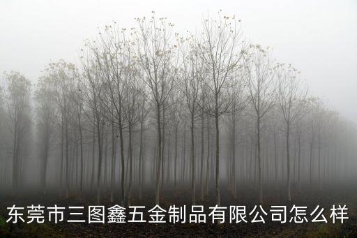 東莞市三圖鑫五金制品有限公司怎么樣