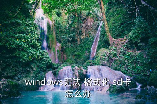 windows無法 格式化 sd卡怎么辦