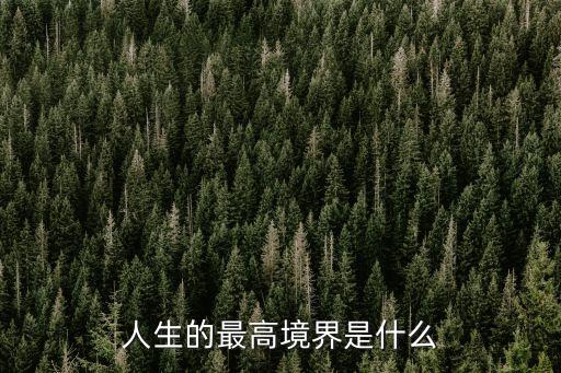 人生的最高境界是什么