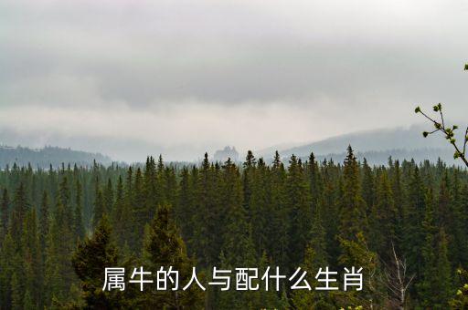 屬牛的人與配什么生肖