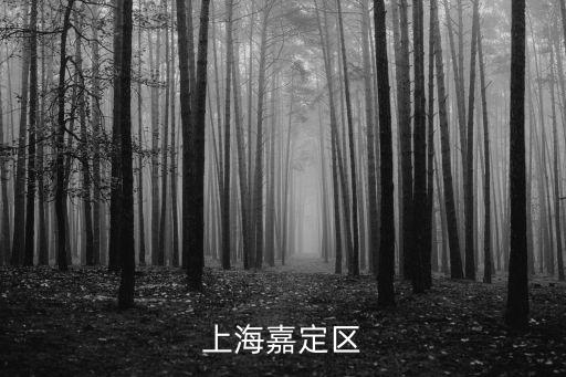 上海嘉定區