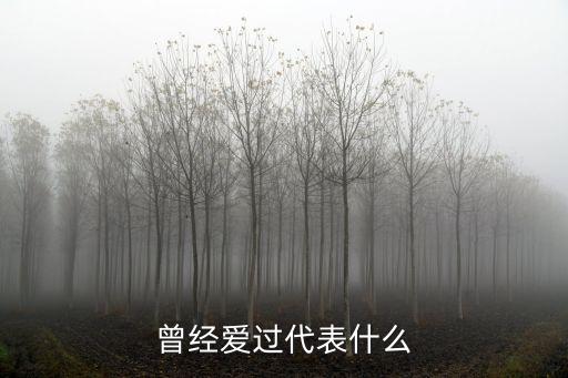 曾經(jīng)愛過代表什么
