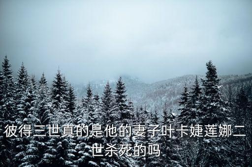 彼得三世真的是他的妻子葉卡婕蓮娜二世殺死的嗎