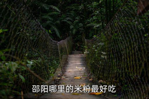 邵陽哪里的米粉最好吃