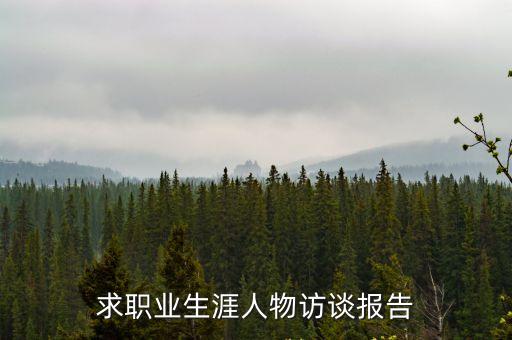 求職業生涯人物訪談報告
