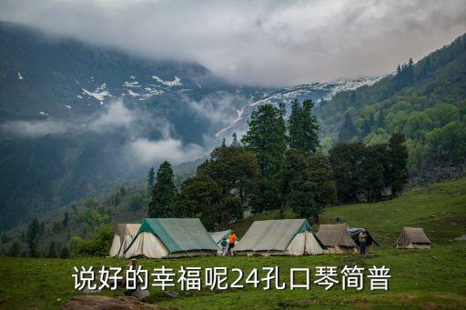 口琴圖片，說好的幸福呢24孔口琴簡普