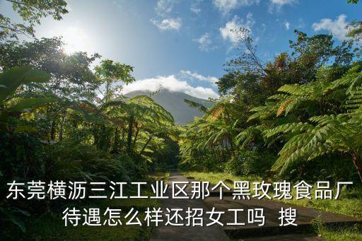 東莞橫瀝三江工業(yè)區(qū)那個(gè)黑玫瑰食品廠待遇怎么樣還招女工嗎  搜